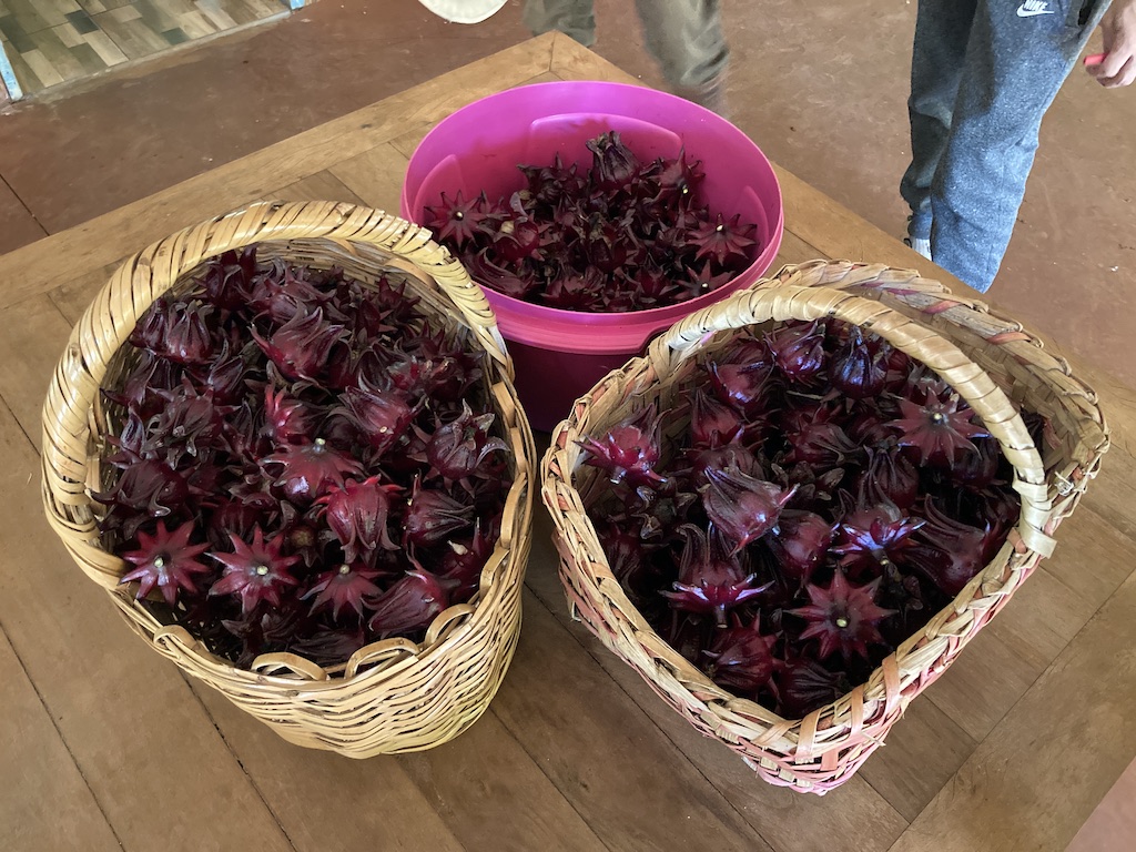 Três cestas com flor de hibisco dentro